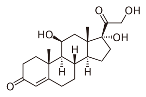 cortisol that causes belly fat