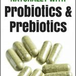 How to Lose Weight Naturally with Probiotics & Prebiotics | Avocadu.com