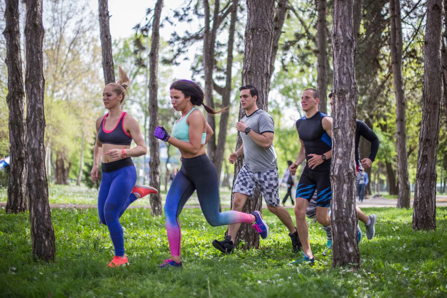 Running for Beginners in the woods